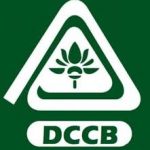 DCC Bank Recruitment