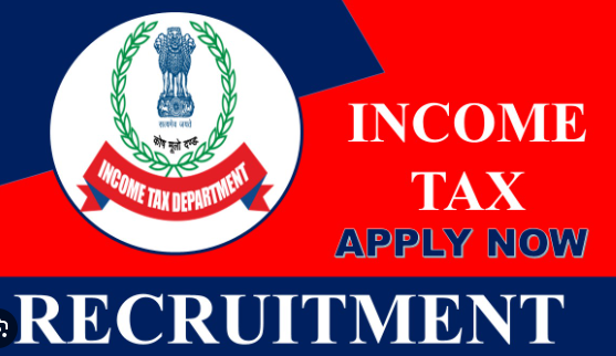 Income Tax Young Professional Vacancy
