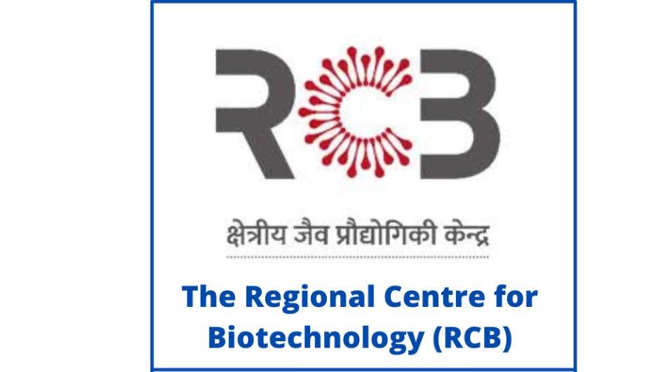 RCB Junior Research Fellow Vacancy