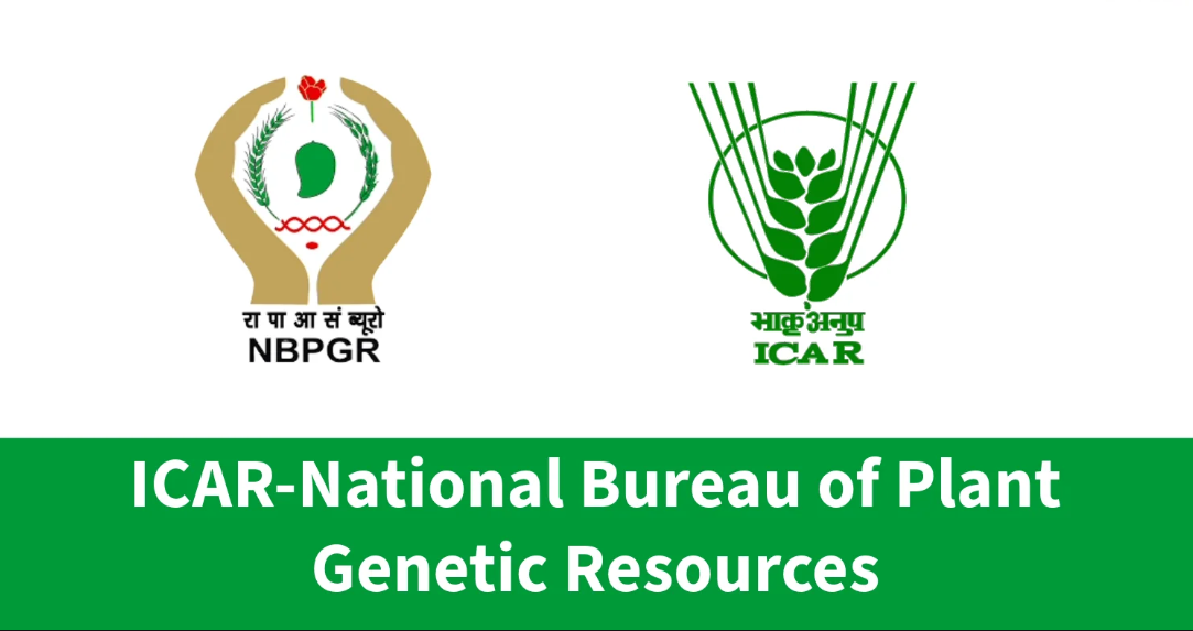 National Bureau Of Plant Genetic Resources Young Professional Vacancy