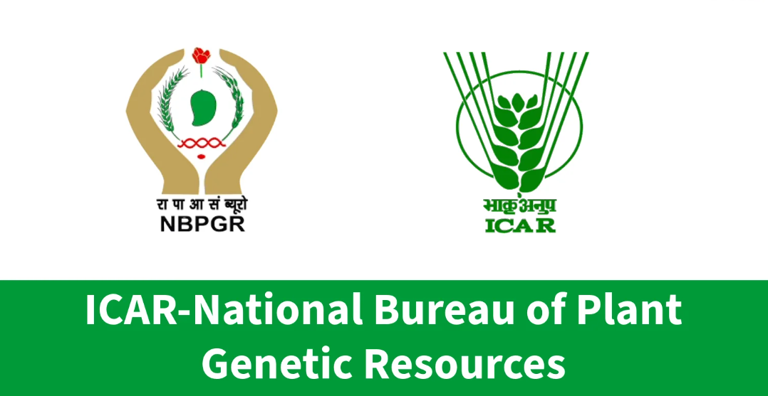 National Bureau of Plant Genetic Resources Junior Research Fellow Vacancy