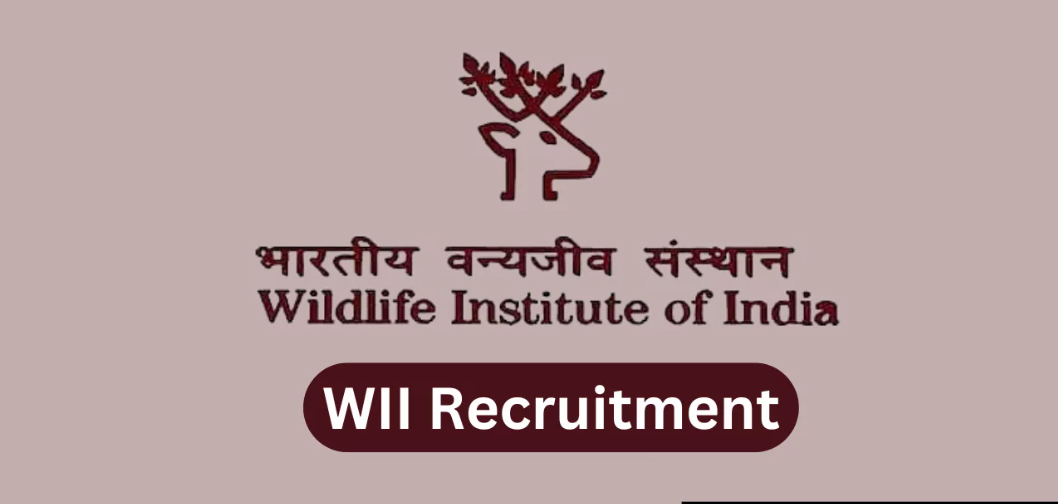 Wildlife Institute Of India Assistant Vacancy