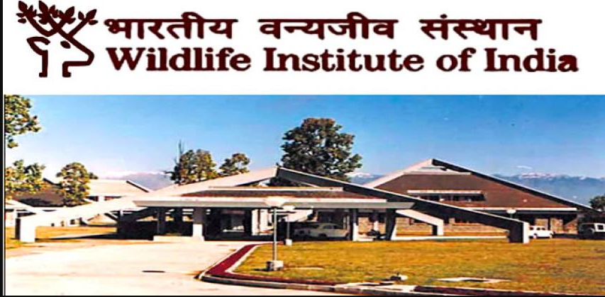 Wildlife Institute Of India Project Assistant, Project Associate & Other Vacancy