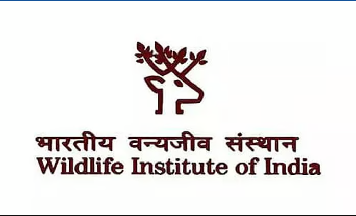 Wildlife Institute Of India (WII) Scientist-C Vacancy