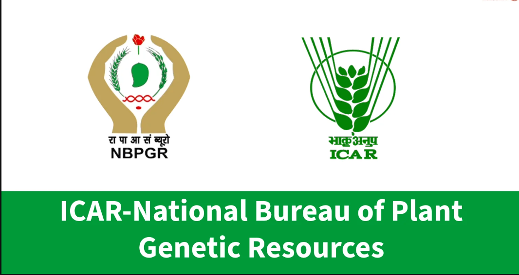 National Bureau of Plant Genetic Resources Senior Research Fellow Vacancy