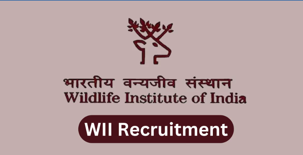 Wildlife Institute of India Project Scientist, Project Associate & Other Vacancy